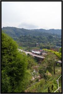 IMGP4458